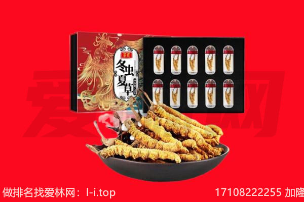 陇南市礼县回收虫草.jpg